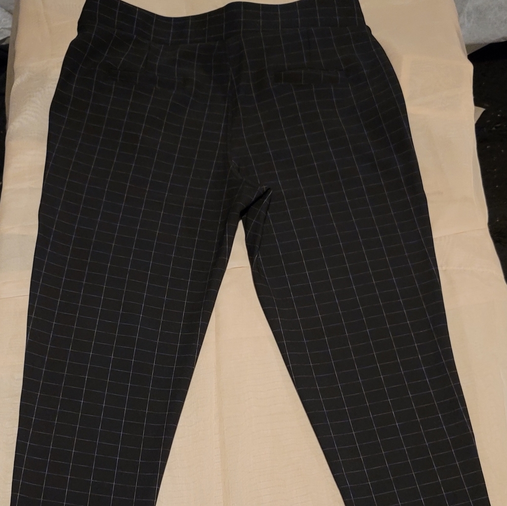 Panta